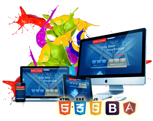 Website Design & Development